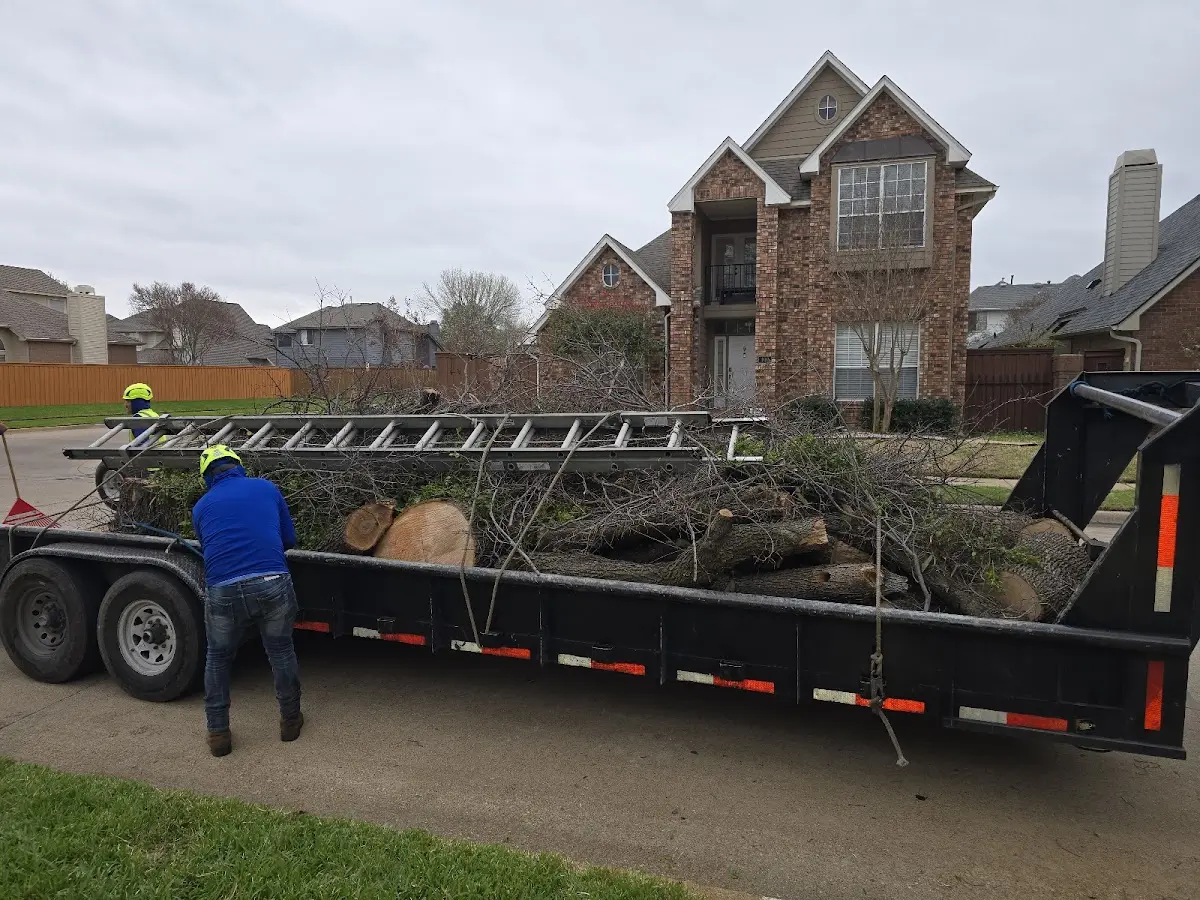 Expert Tree Fertilization with proper safety equipment in Blairsville